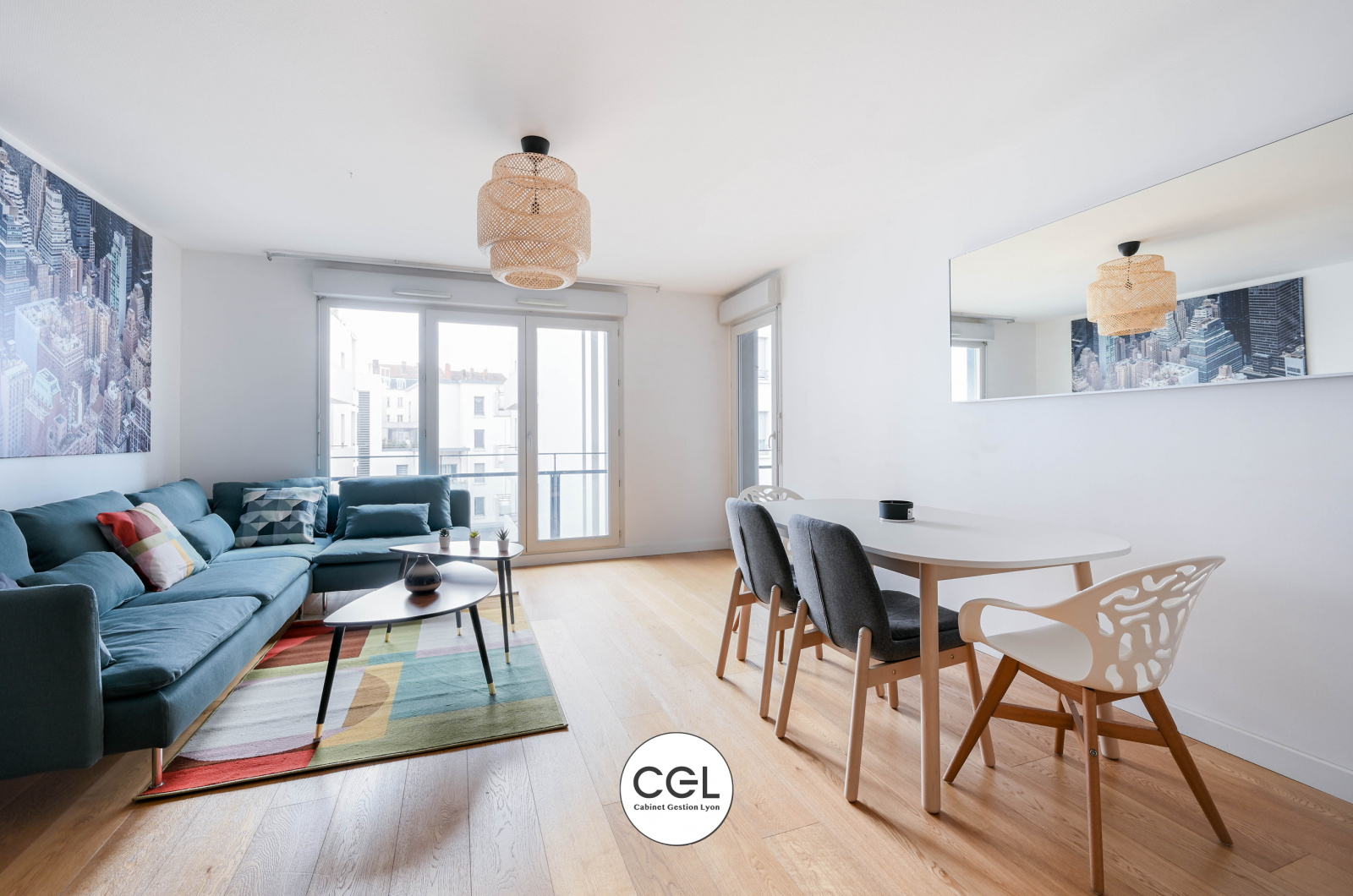 Image_, Appartement, Lyon, ref :-