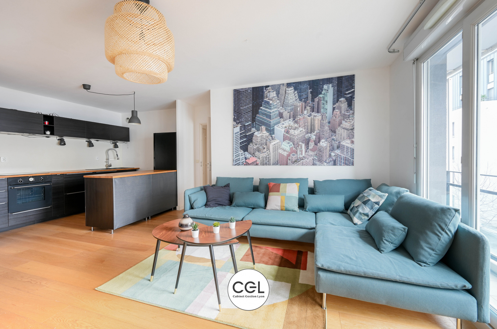 Image_, Appartement, Lyon, ref :-