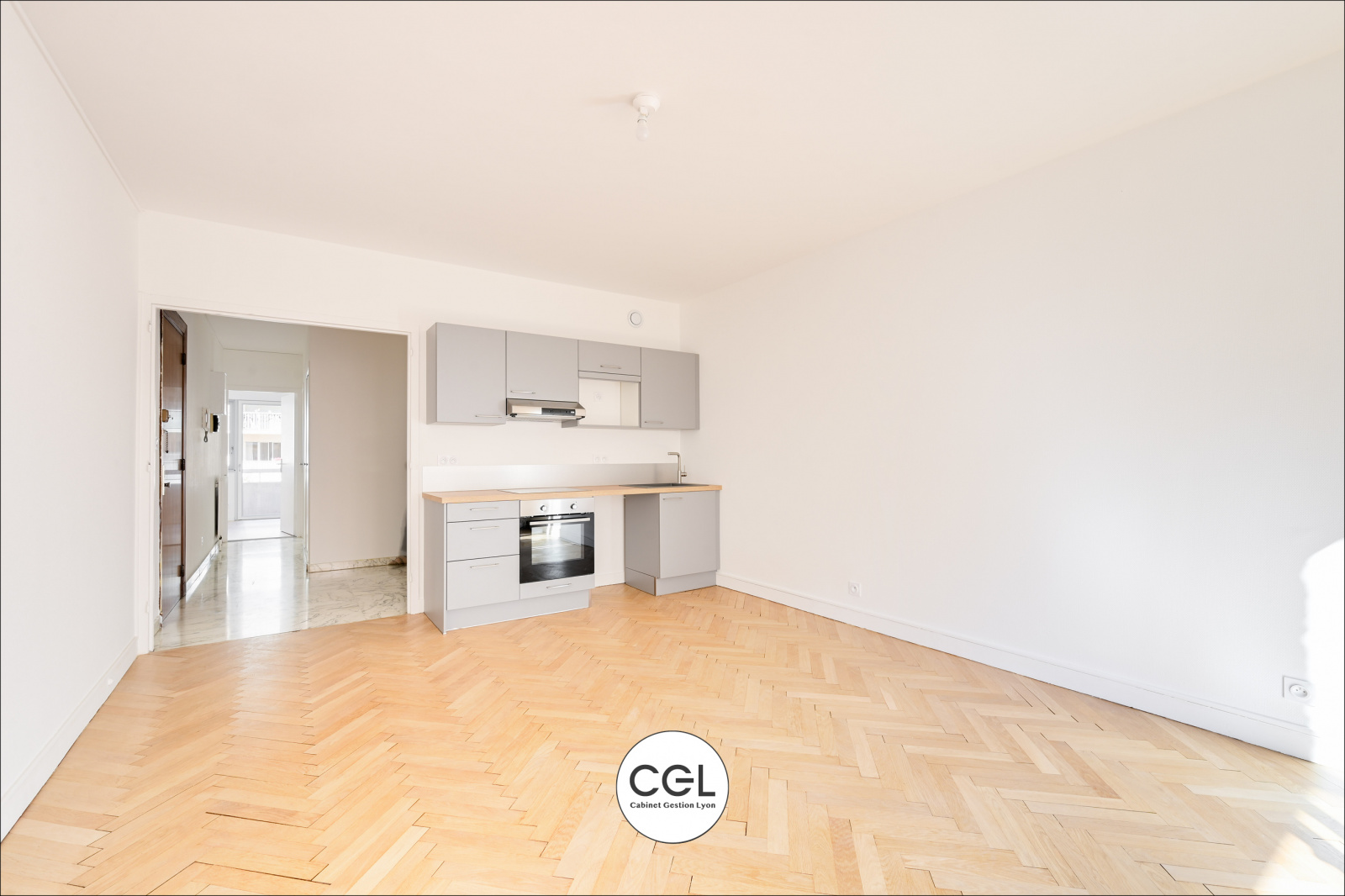 Image_, Appartement, Lyon, ref :64