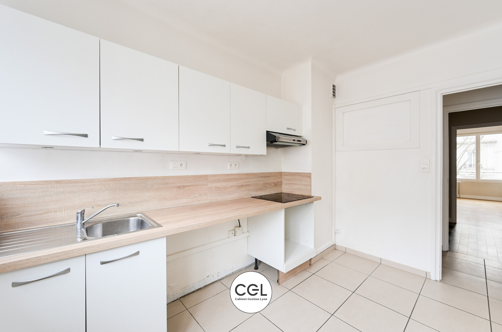 Image_, Appartement, Lyon, ref :-